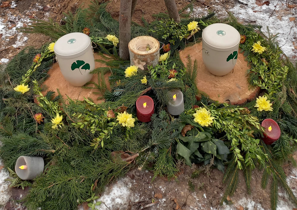 zwei Urnen nebeinander auf zwei Baumscheiben umrahmt von Nadelhölzern und Kerzen zwei Urnen nebeinander auf zwei Baumscheiben umrahmt von Nadelhölzern und Kerzen